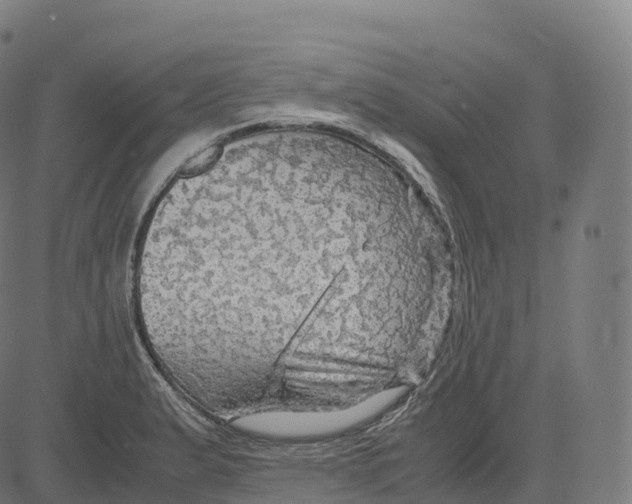 X0000083641183200703121712