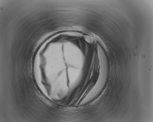 X0000083641184200703121712