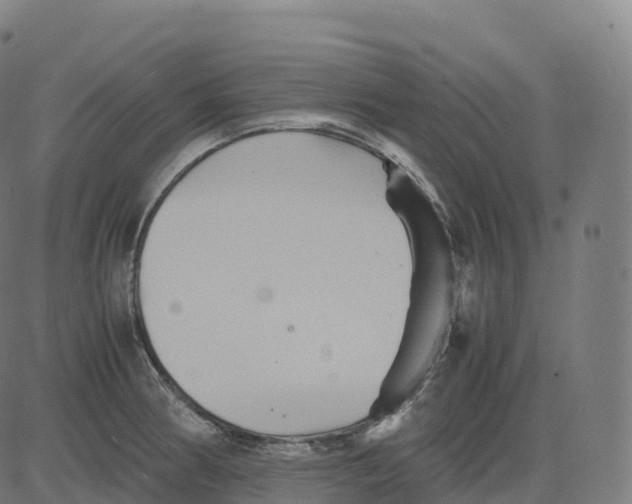 X0000083641186200703121712