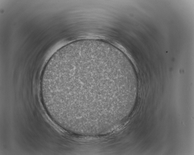 X0000083641187200703121712