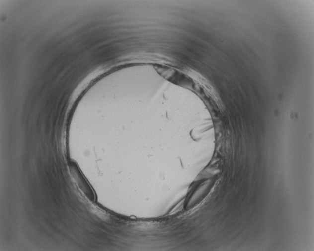 X0000083641188200703121712