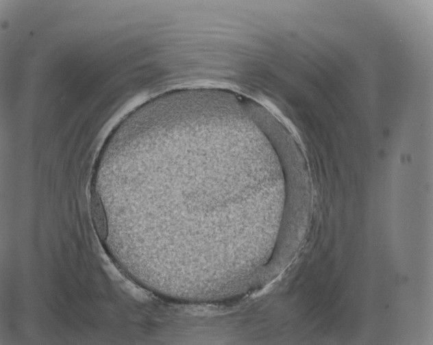 X0000083641189200703121712