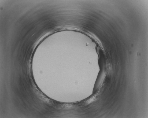 X0000083641190200703121712