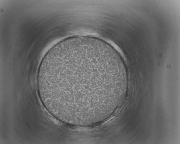 X0000083641191200703121712