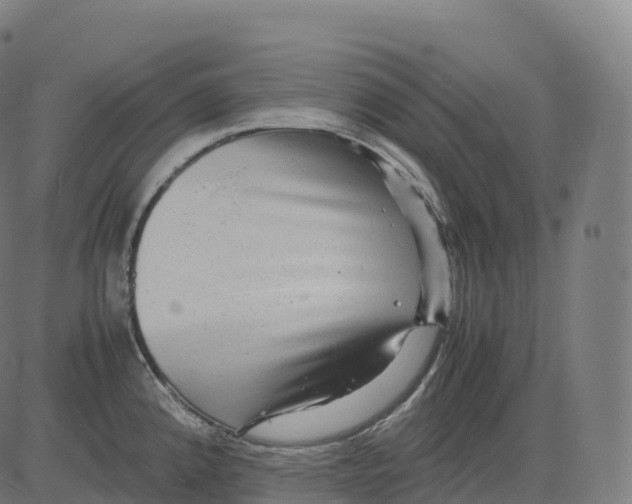 X0000083641192200703121712