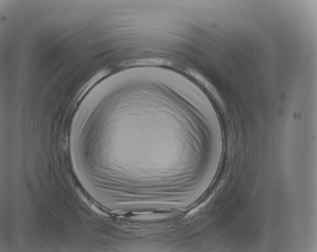 X0000083641193200703121712