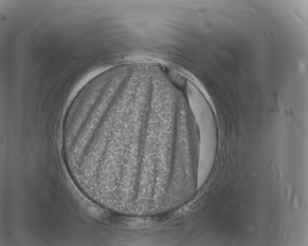 X0000083641195200703121711