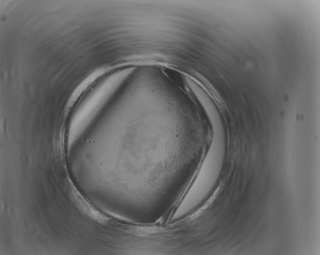 X0000083641196200703121711