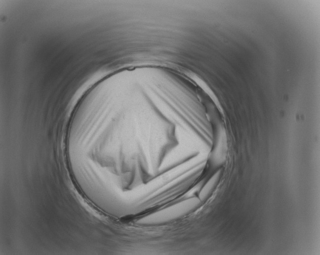 X0000083641197200703121711