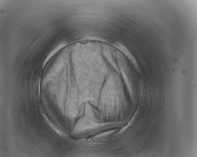 X0000083641198200703121711