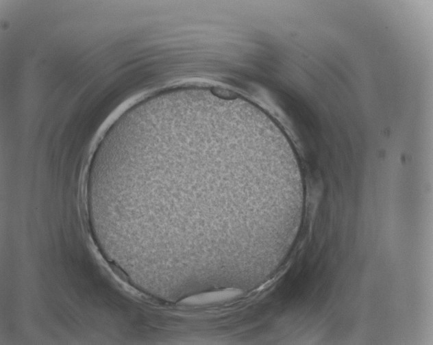 X0000083641199200703121711