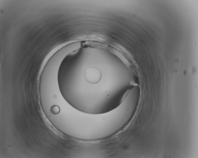 X0000083641200200703121711