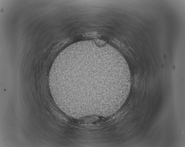 X0000083641201200703121711