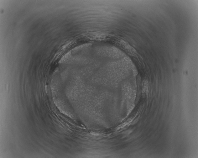 X0000083641202200703121711