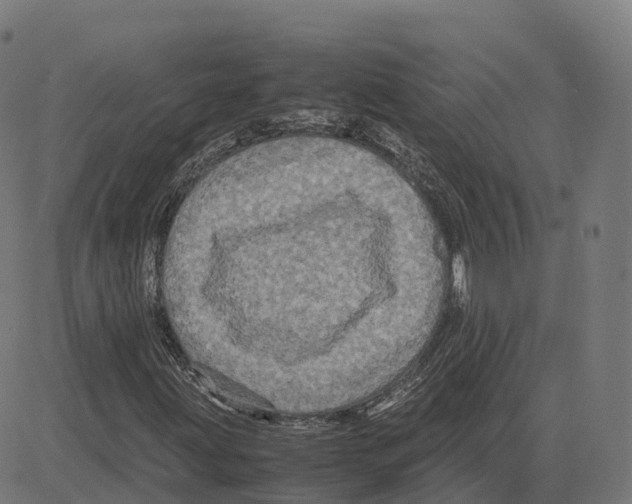 X0000083641203200703121711