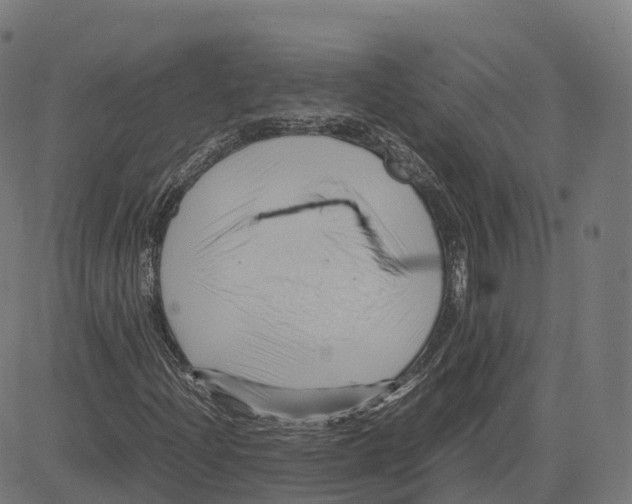 X0000083641204200703121711