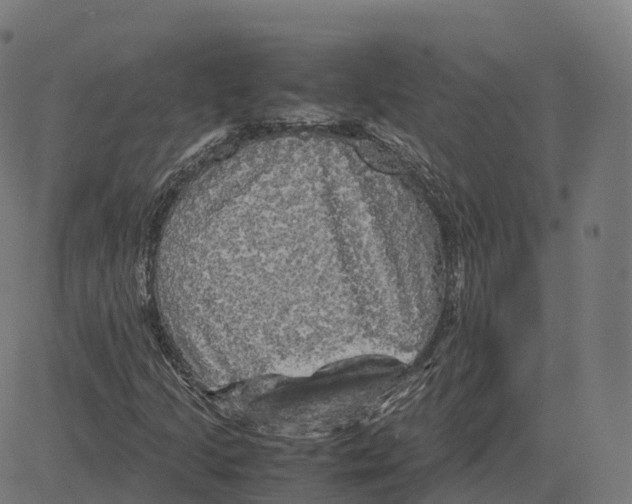 X0000083641205200703121711