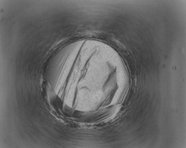 X0000083641206200703121711