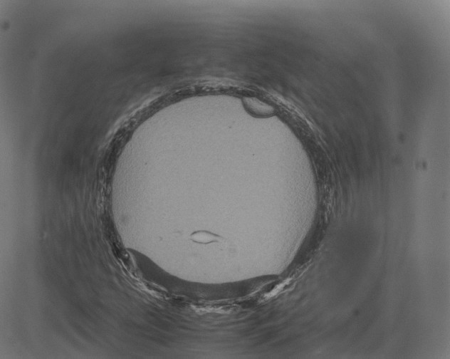 X0000083641207200703121711