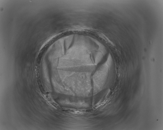 X0000083641208200703121711