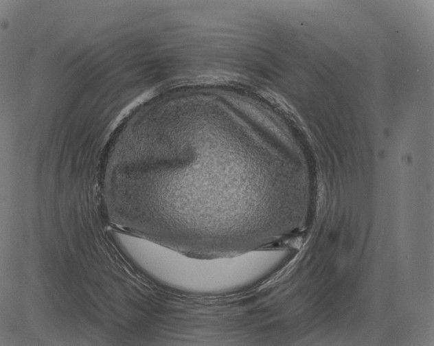 X0000083641210200703121711