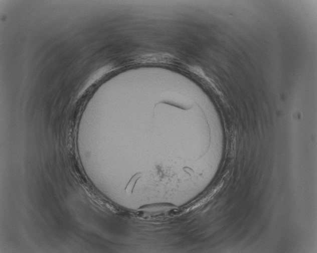 X0000083641211200703121711