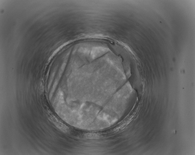 X0000083641212200703121711