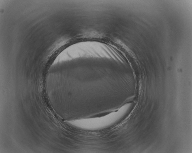 X0000083641213200703121711