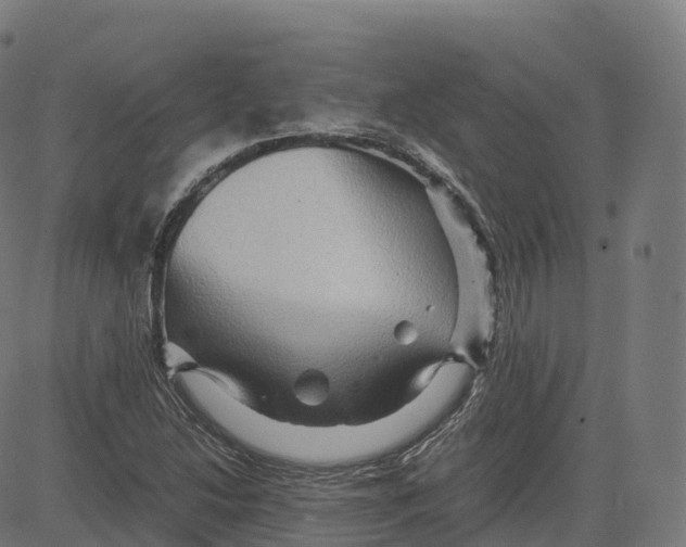 X0000083641214200703121711