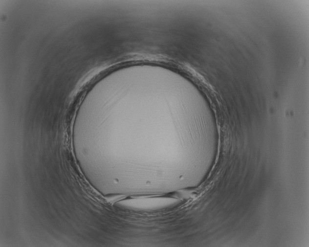 X0000083641215200703121711