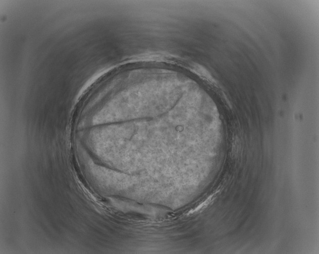 X0000083641216200703121711