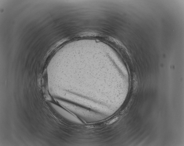 X0000083641217200703121711