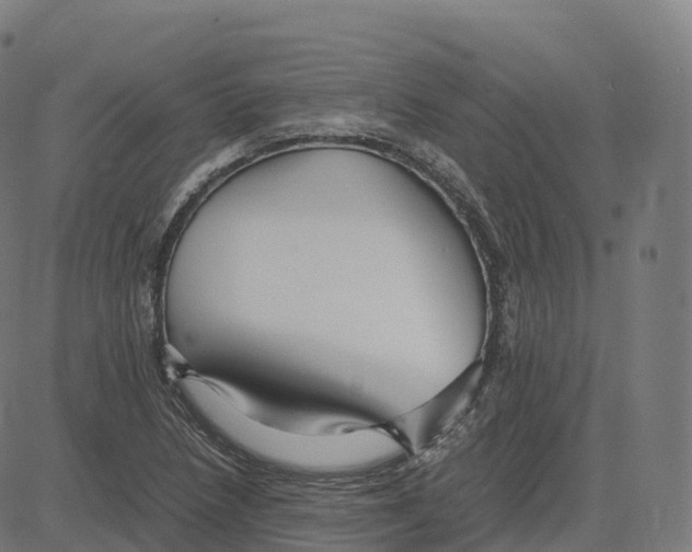 X0000083641218200703121711