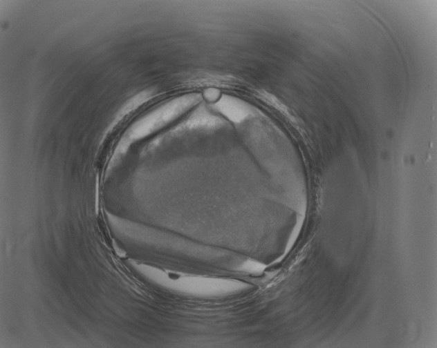 X0000083641219200703121711