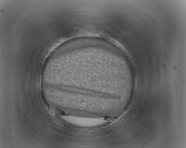 X0000083641220200703121711