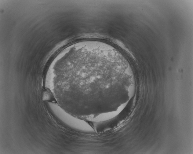 X0000083641221200703121711