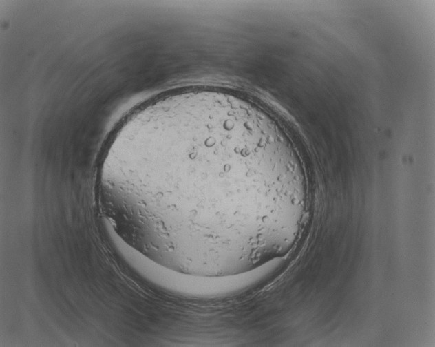 X0000083641222200703121711