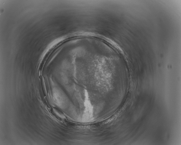 X0000083641223200703121711