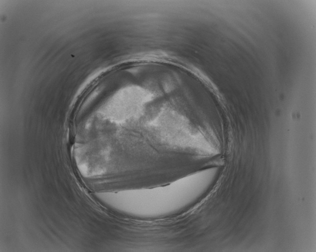 X0000083641224200703121711