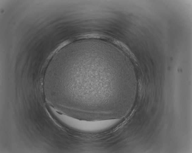 X0000083641225200703121711