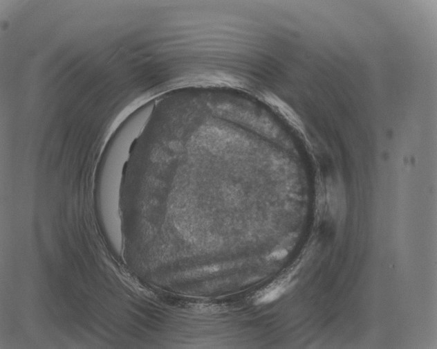 X0000083641226200703121711