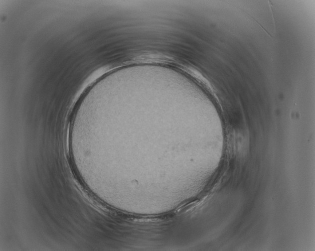 X0000083641227200703121711