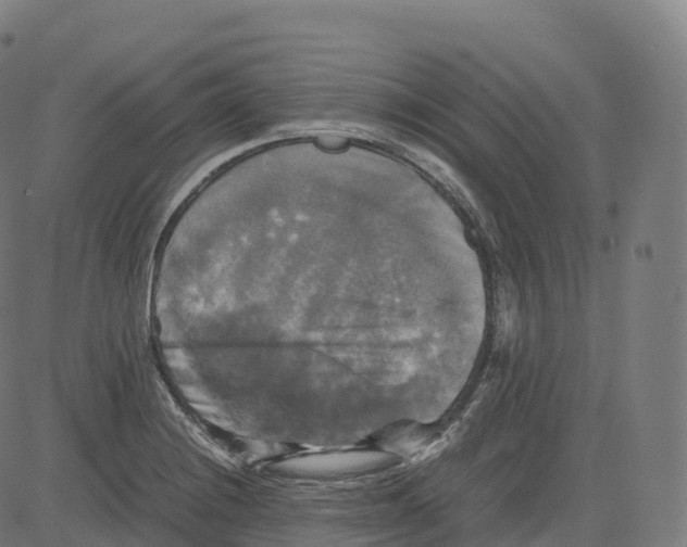 X0000083641228200703121711