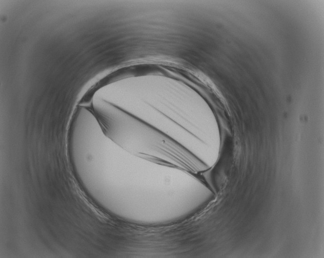 X0000083641230200703121711