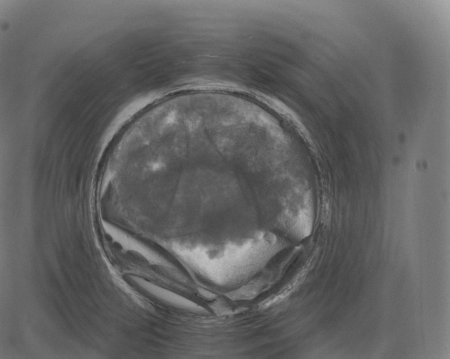 X0000083641231200703121711