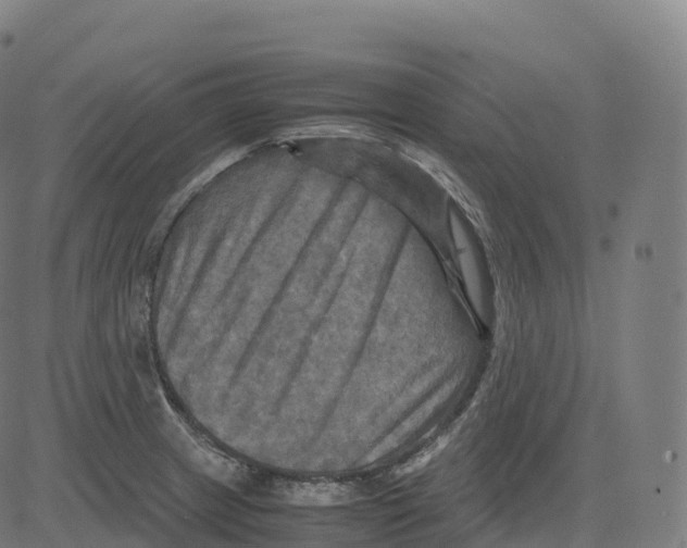 X0000083641233200703121711