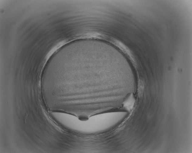 X0000083641234200703121711