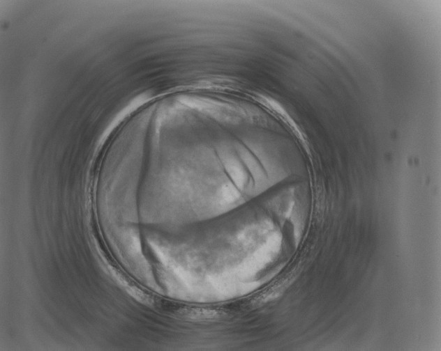 X0000083641235200703121711