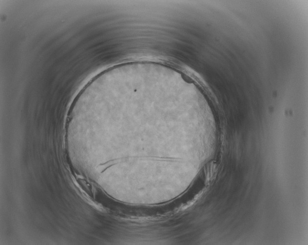 X0000083641236200703121711