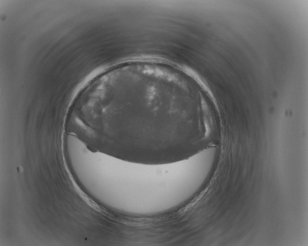 X0000083641237200703121711